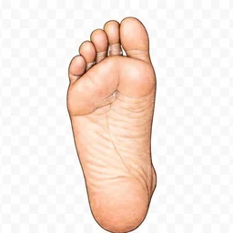 Bottom of foot — tap an area
